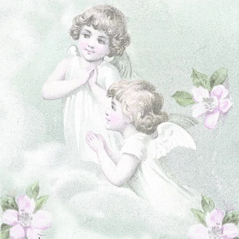 מפיות שוק פרחוני 33x33 ס"מ - 20 יח׳